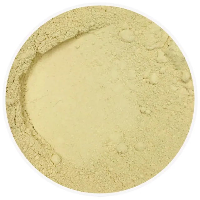 Mineral Concealer Refill (Subscription)